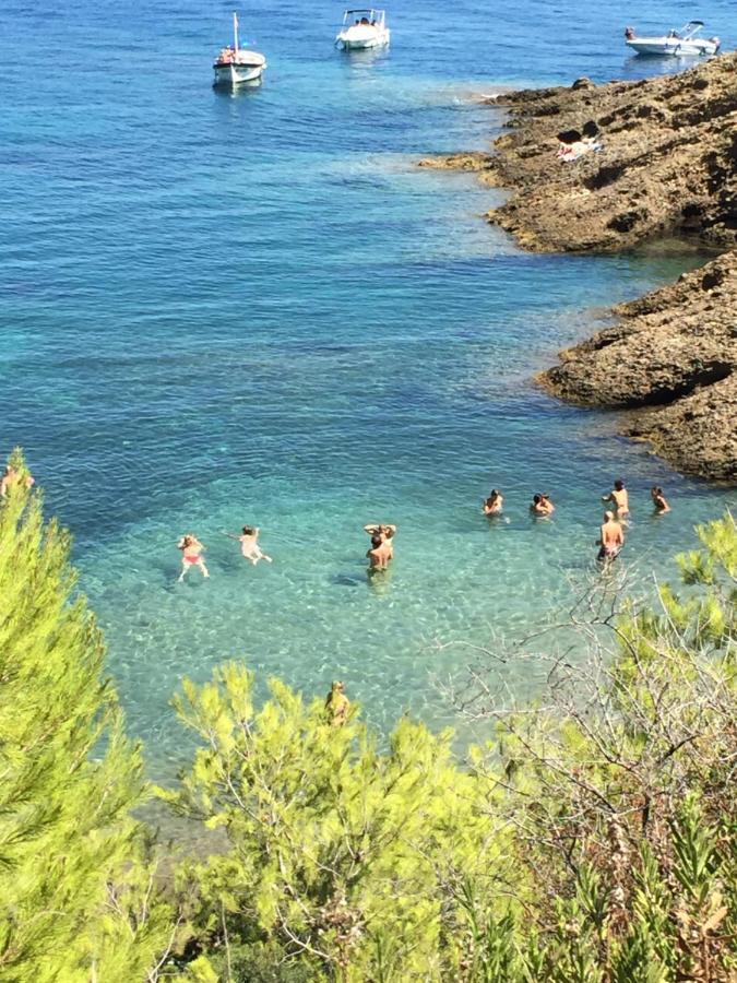 Studio Rocher Bleu Pres Des Plages - Soleil Levant La Ciotat Exterior foto